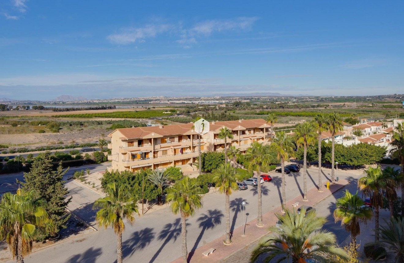 Z drugiej ręki - Mieszkanie w bloku -
Guardamar del Segura - Pinomar