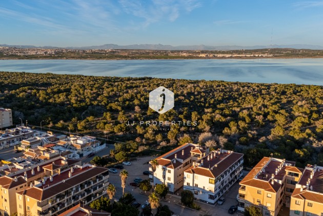 Tweedehands - Appartement / flat -
Torrevieja - Costa Blanca