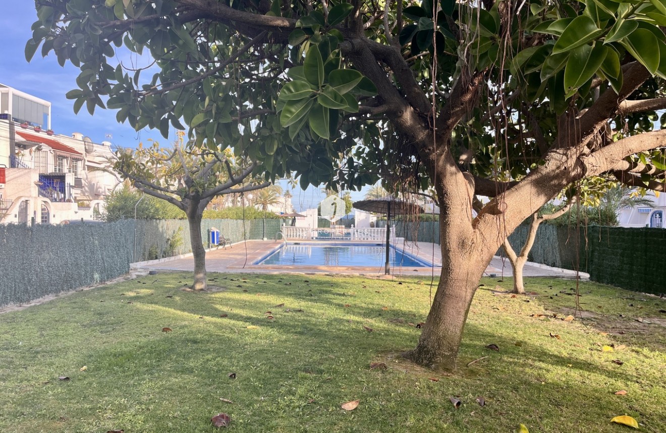 Z drugiej ręki - Mieszkanie w bloku -
Torrevieja - Costa Blanca