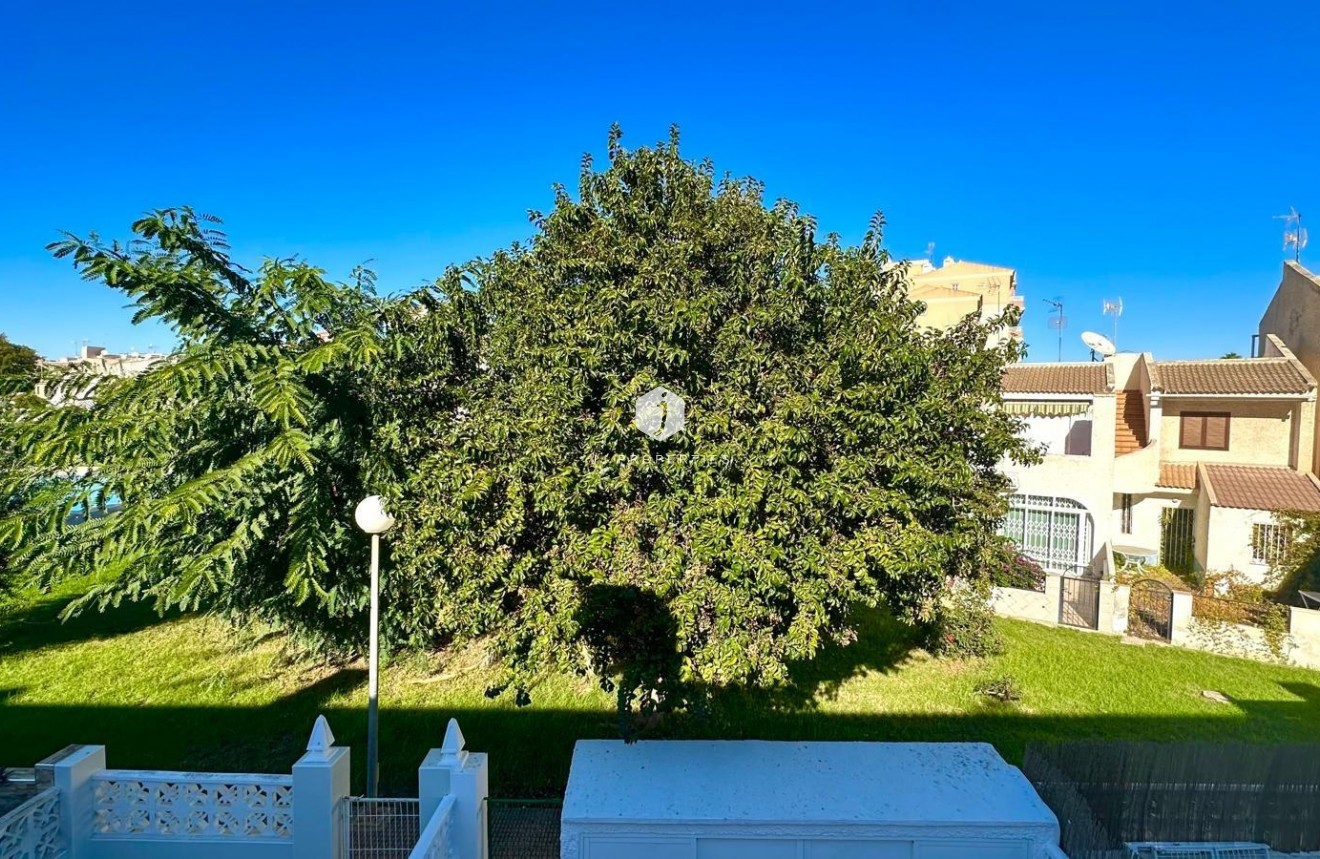 Tweedehands - Chalet -
Torrevieja - Estacion de autobuses