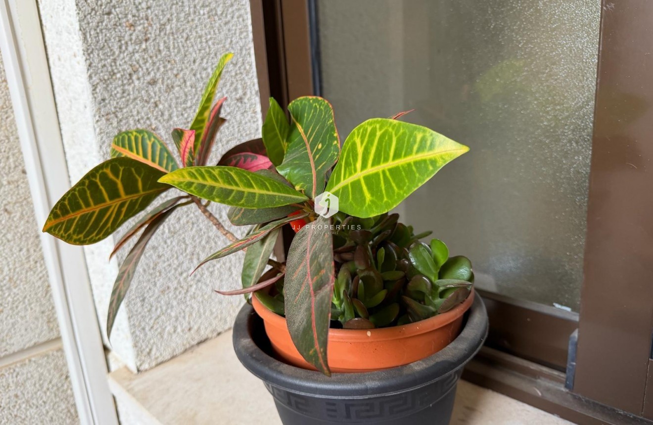 Segunda mano - Apartamento / piso -
Orihuela Costa - Las Ramblas