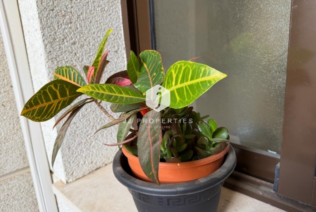 Segunda mano - Apartamento / piso -
Orihuela Costa - Las Ramblas