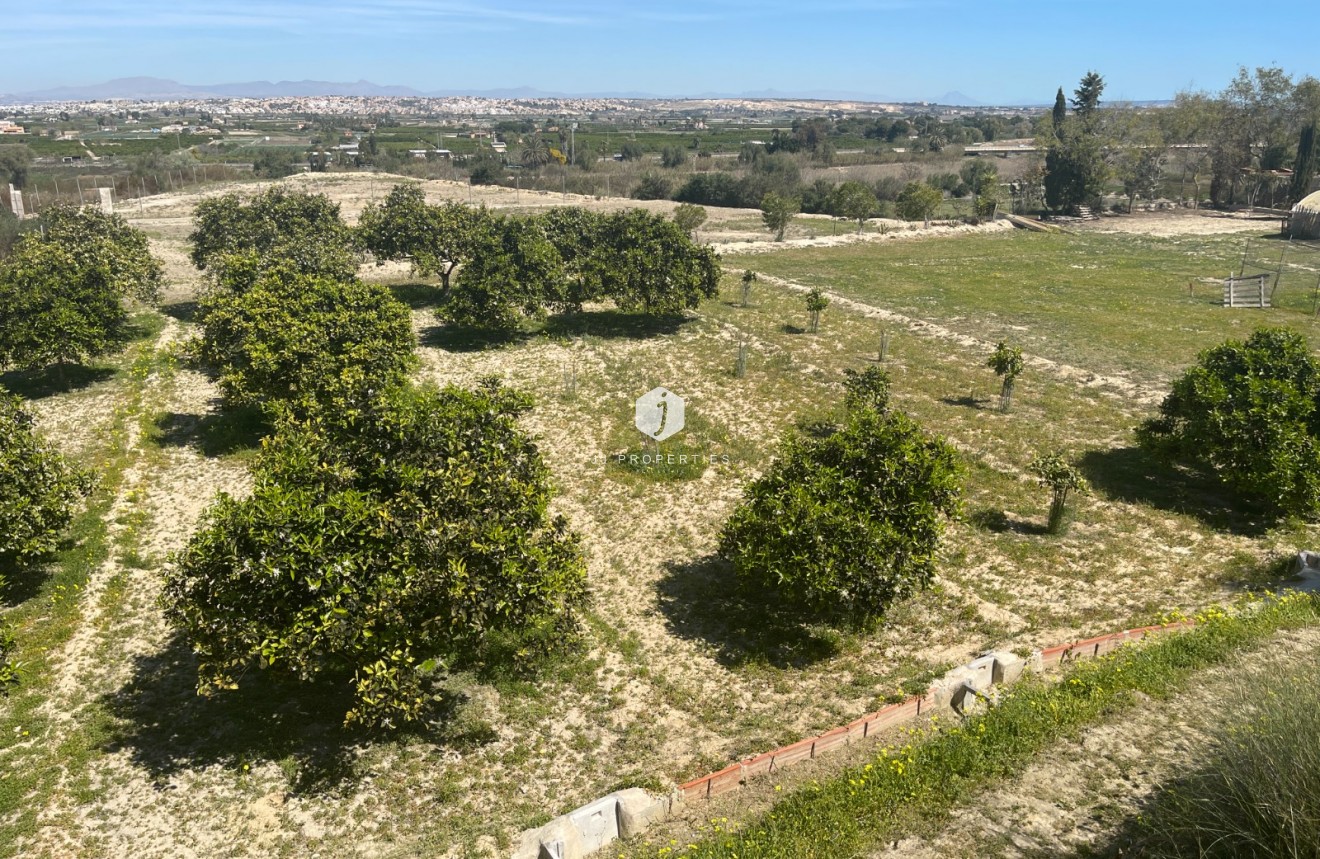 Segunda mano - Villa -
Guardamar del Segura - Costa Blanca