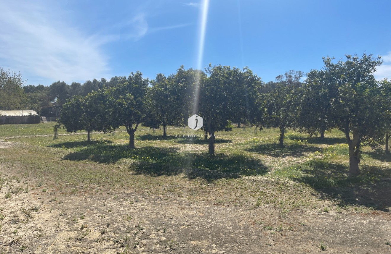 Segunda mano - Villa -
Guardamar del Segura - Costa Blanca