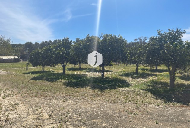 Segunda mano - Villa -
Guardamar del Segura - Costa Blanca