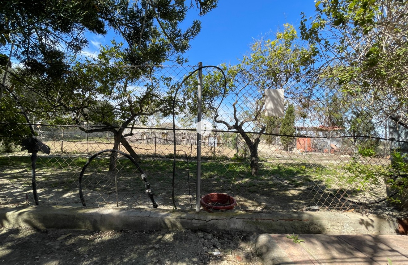 Segunda mano - Villa -
Guardamar del Segura - Costa Blanca