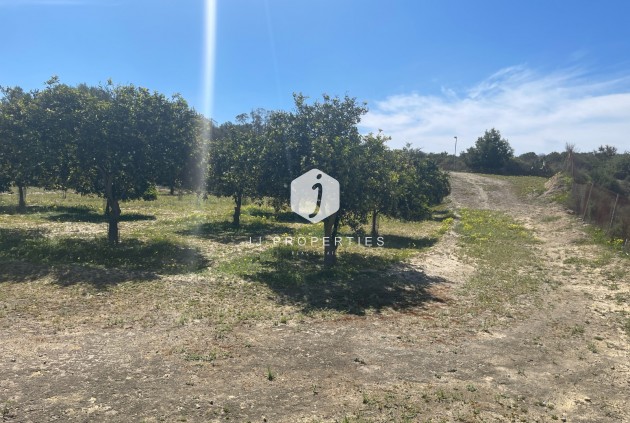 Segunda mano - Villa -
Guardamar del Segura - Costa Blanca
