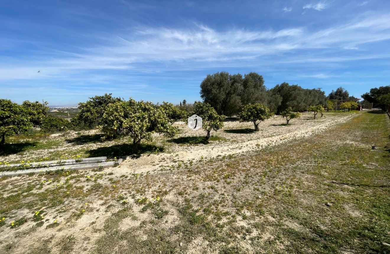 Segunda mano - Villa -
Guardamar del Segura - Costa Blanca