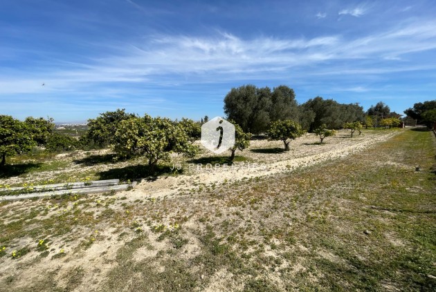 Segunda mano - Villa -
Guardamar del Segura - Costa Blanca