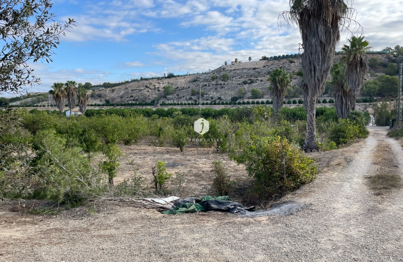 Resale - Country Property -
Jacarilla - Inland