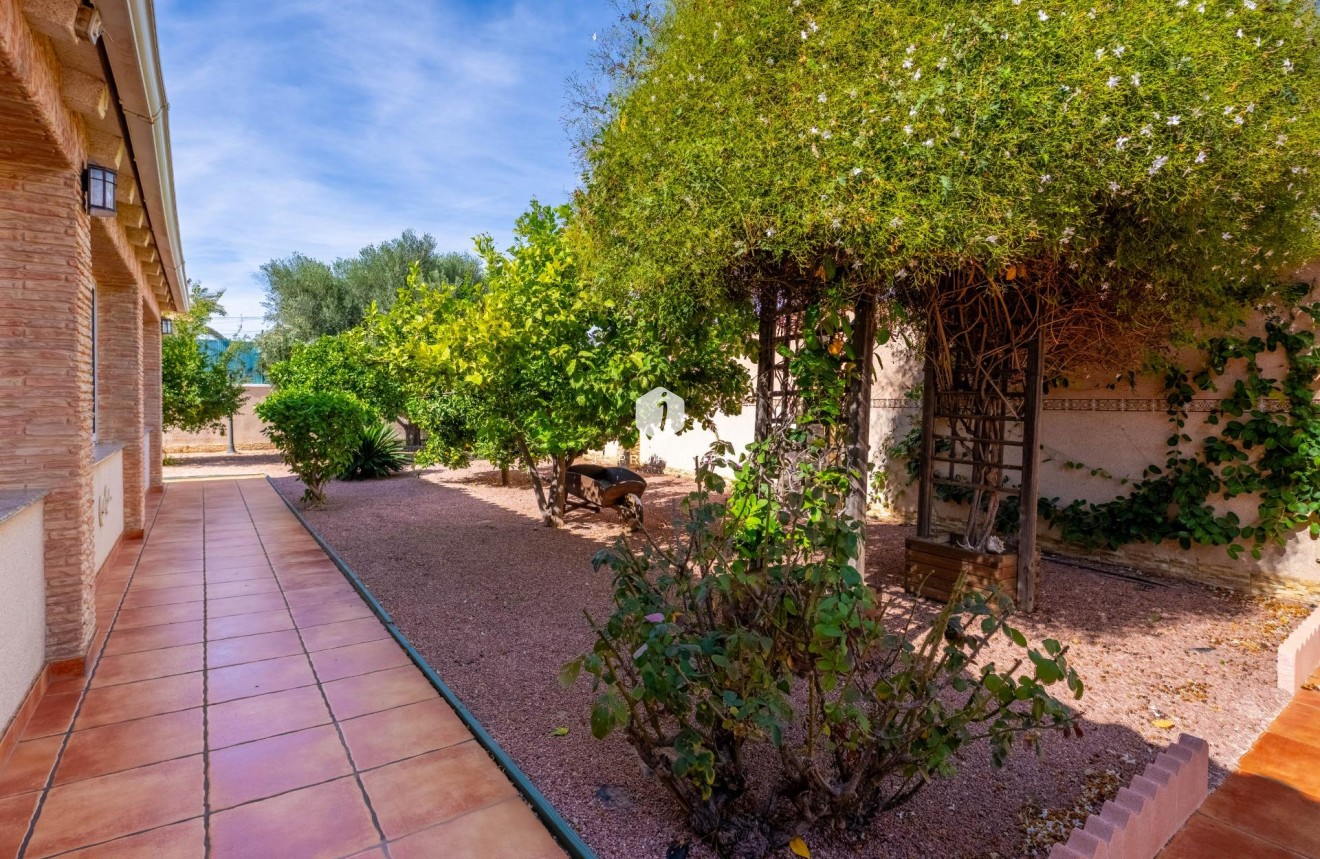 Resale - Villa -
Torrevieja - El chaparral