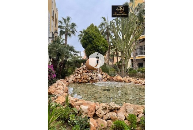 Z drugiej ręki - Daszek -
Torrevieja - Los Frutales