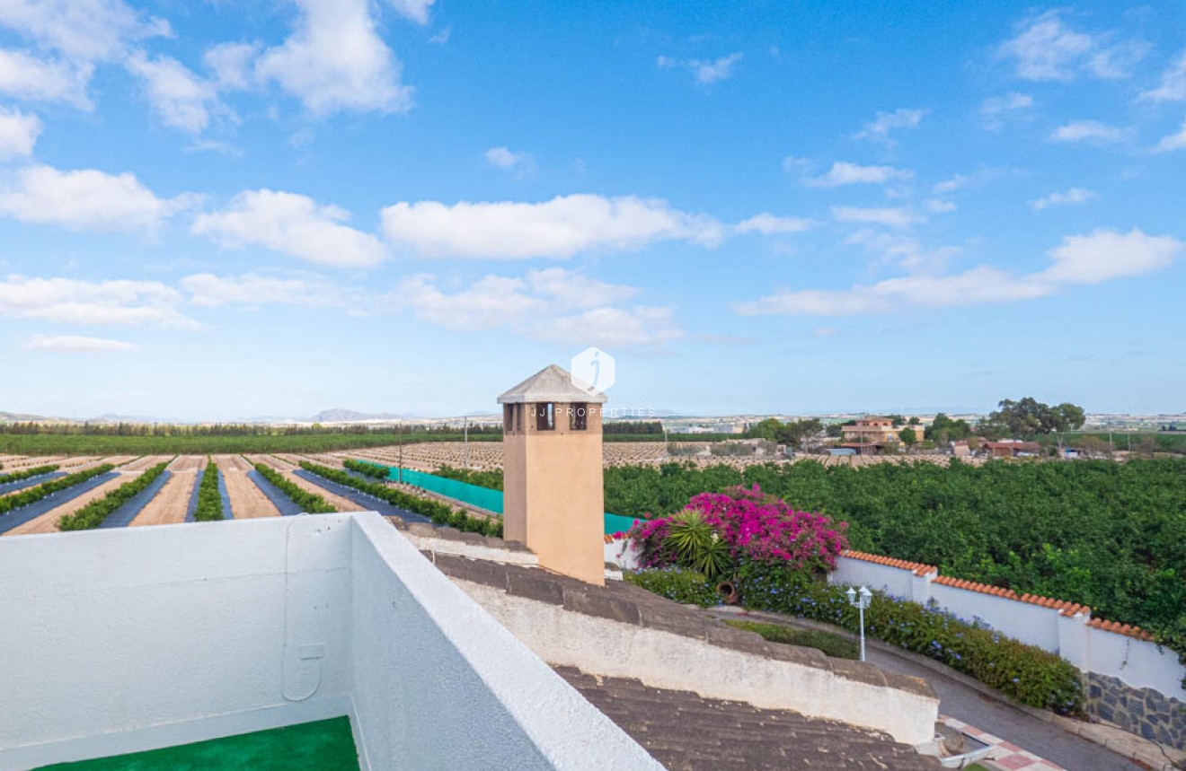 Resale - Villa -
San Miguel de Salinas - Inland