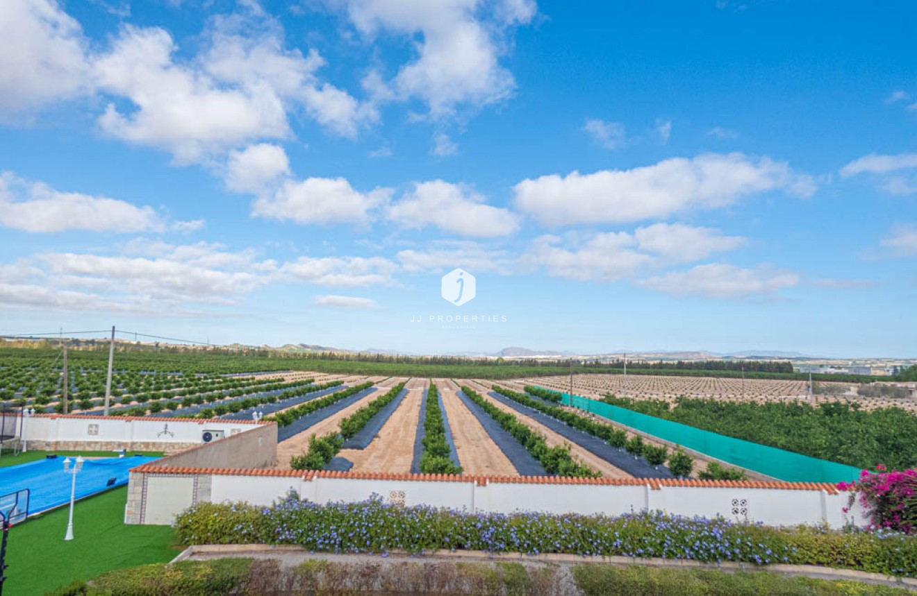 Resale - Villa -
San Miguel de Salinas - Inland