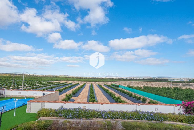 Resale - Villa -
San Miguel de Salinas - Inland