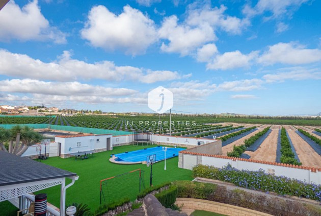 Resale - Villa -
San Miguel de Salinas - Inland