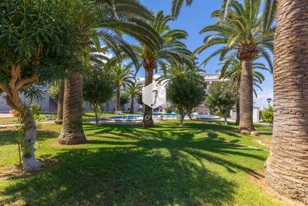 Resale - Apartment / flat -
La Mata - Costa Blanca