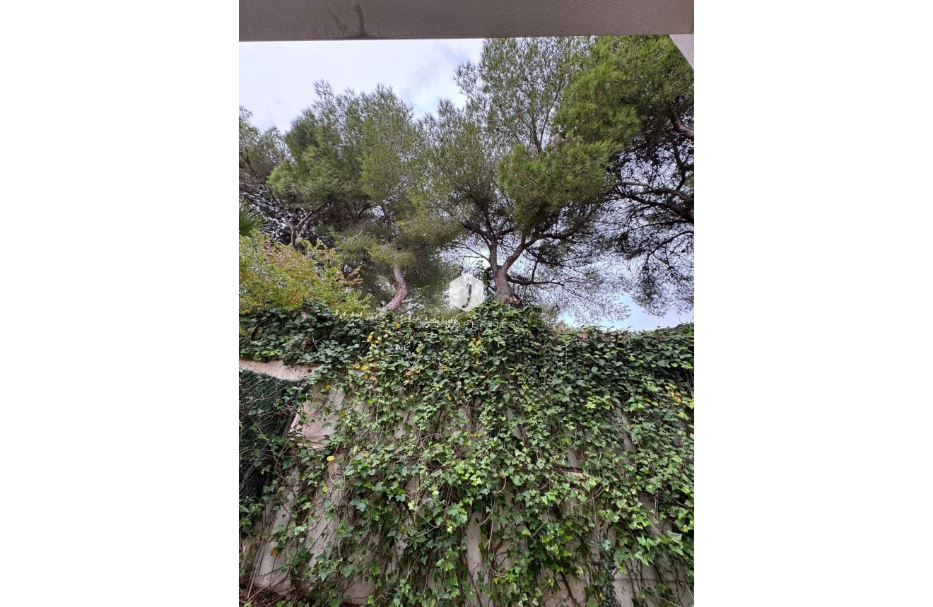 D'occasion - Chalet -
Torrevieja - Punta prima