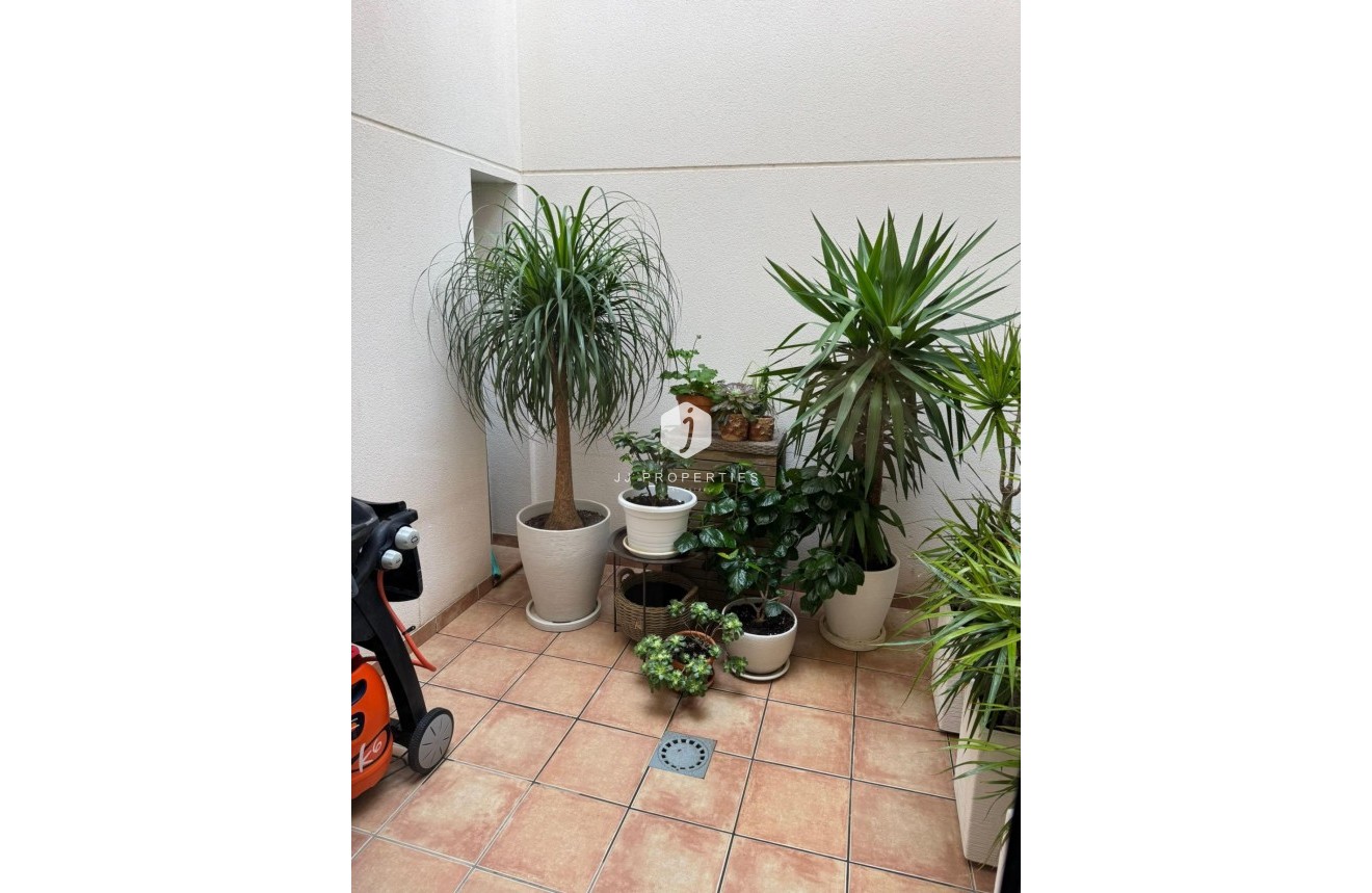 D'occasion - Chalet -
Torrevieja - Punta prima