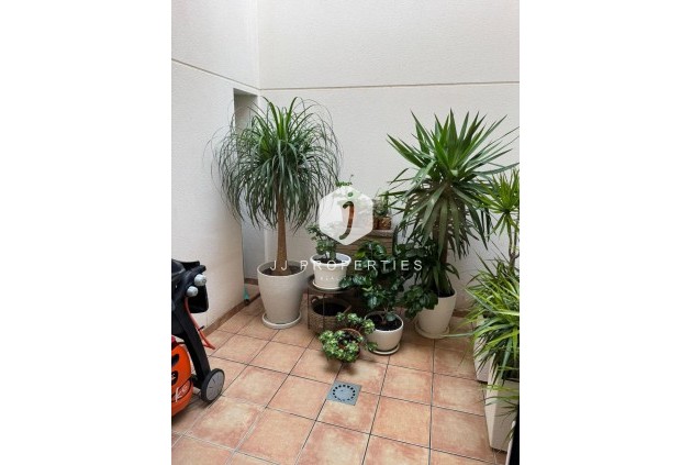 D'occasion - Chalet -
Torrevieja - Punta prima