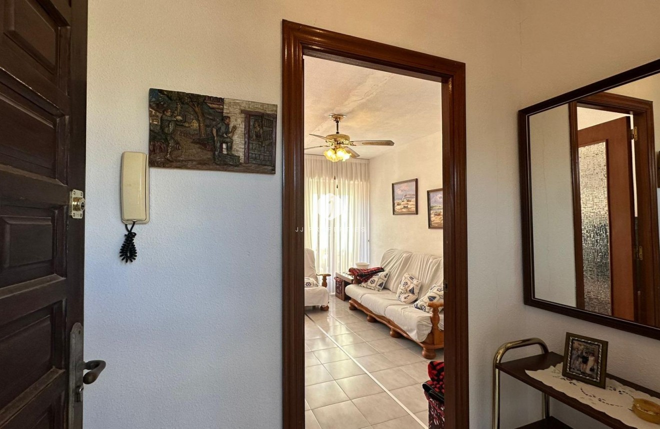 Aus zweiter Hand - Penthouse -
Torrevieja - Estacion de autobuses