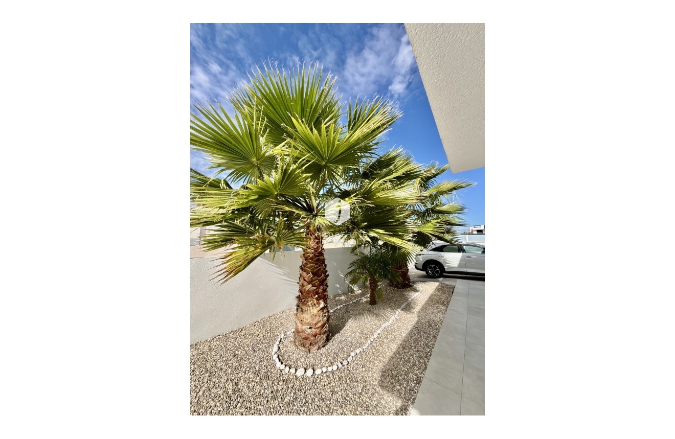 Resale - Villa -
Benijofar - Costa Blanca