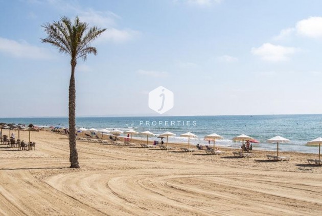 Neue Gebäude - Penthouse -
Guardamar del Segura - Pueblo