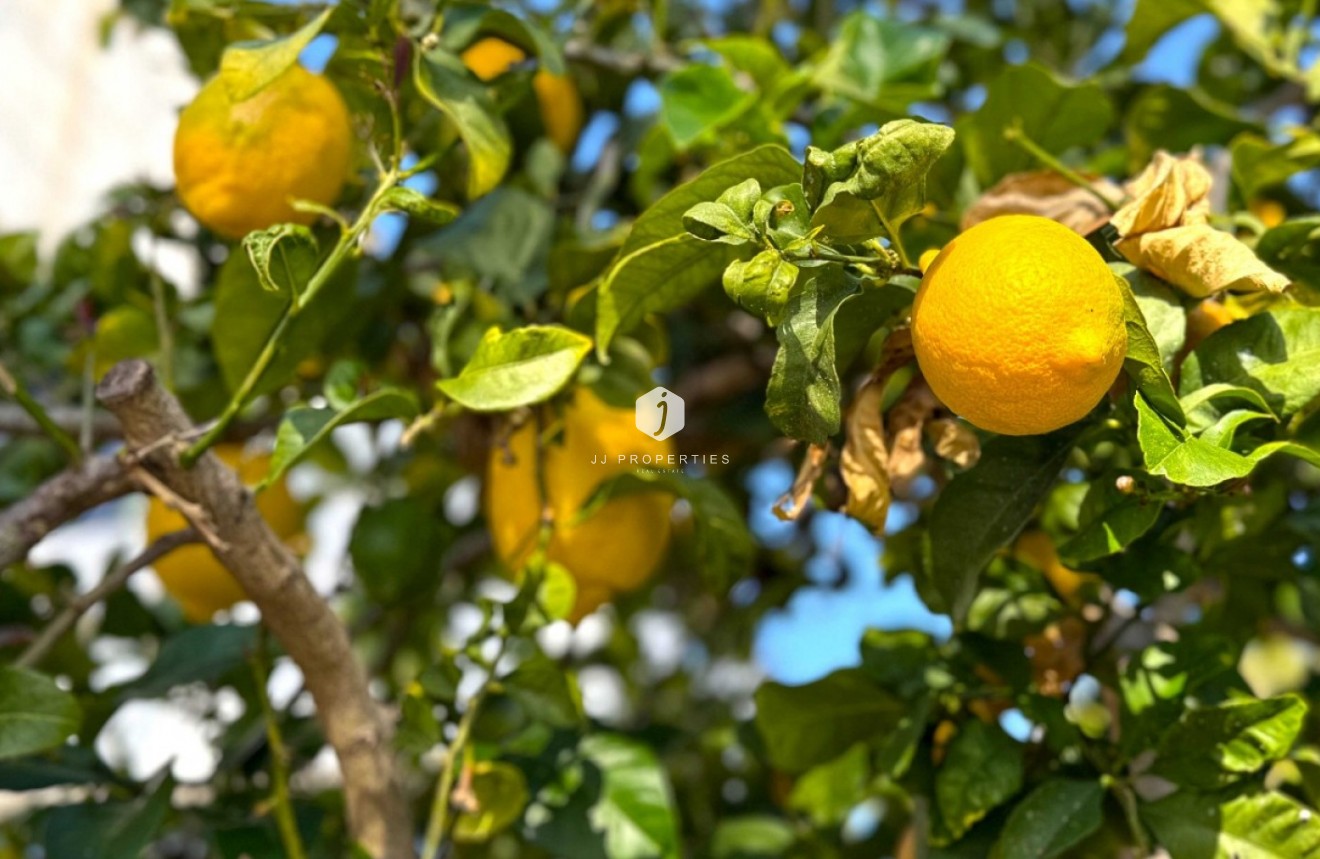 Segunda mano - Villa -
Orihuela Costa - Costa Blanca