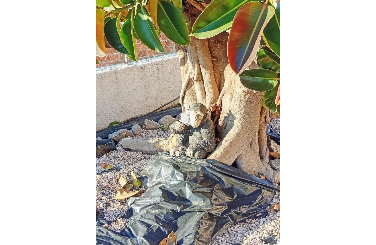 Segunda mano - Villa -
Torrevieja - La Siesta - El Salado - Torreta