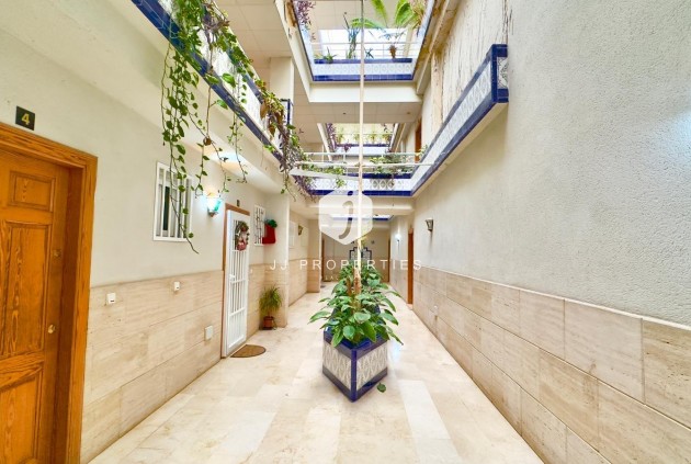 Z drugiej ręki - Daszek -
Torrevieja - Centro