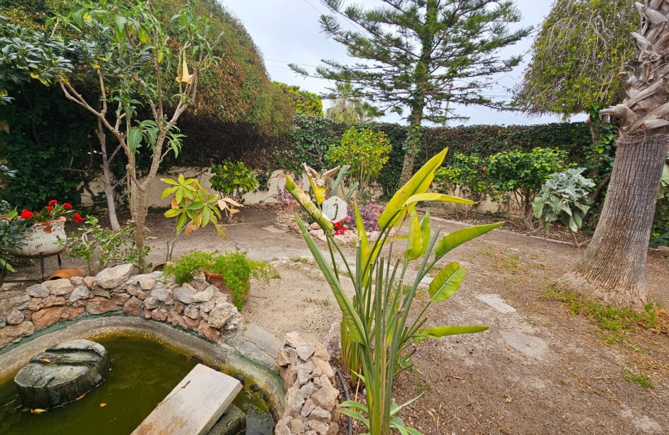 Aus zweiter Hand - Villa -
Torrevieja - El chaparral