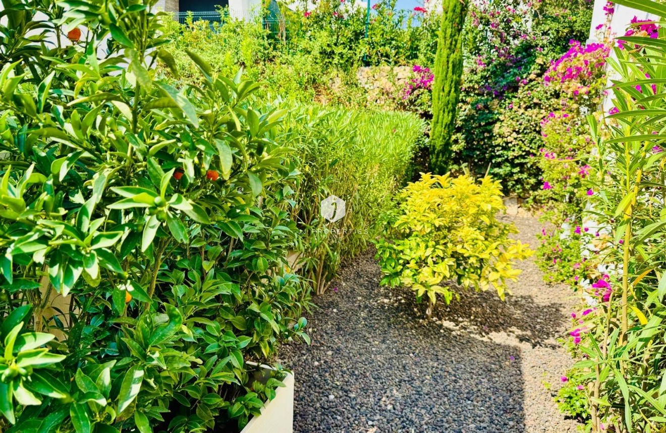 Tweedehands - Villa -
Algorfa - Club De Golf La Finca