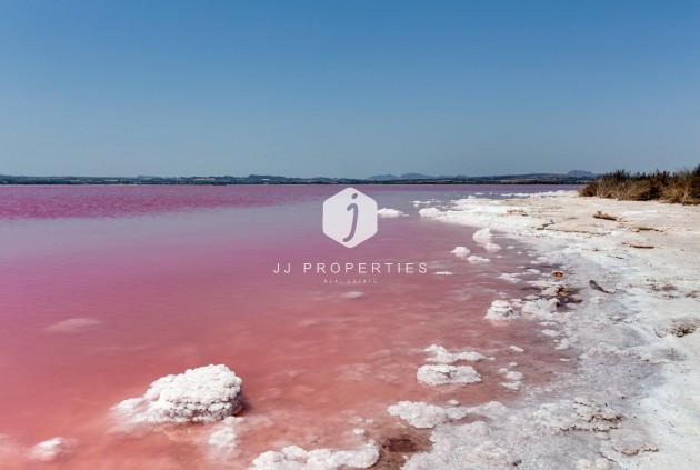 Z drugiej ręki - Mieszkanie w bloku -
Torrevieja - Centro - Muelle Pesquero