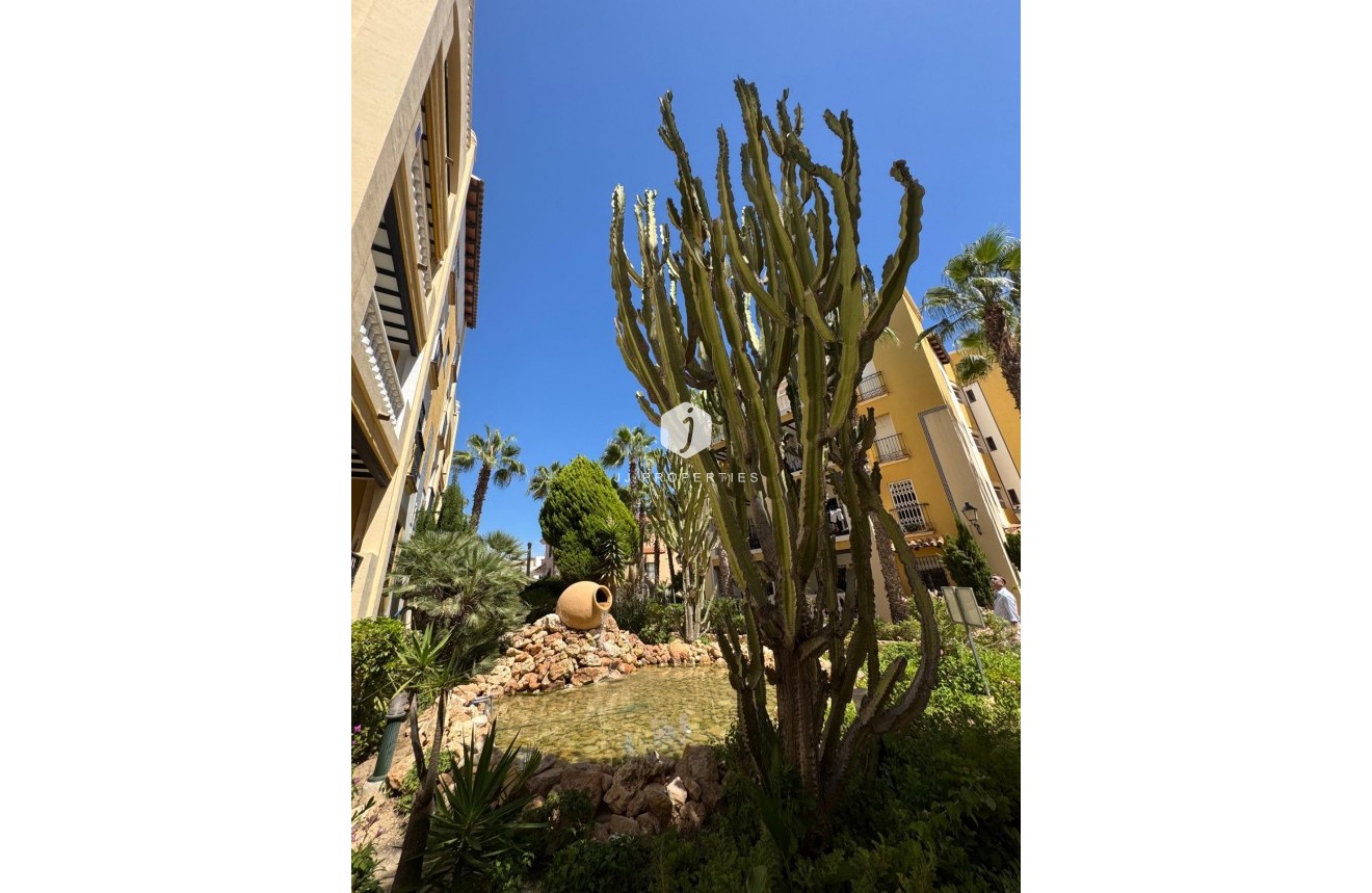 D'occasion - Attique -
Torrevieja - Los Frutales