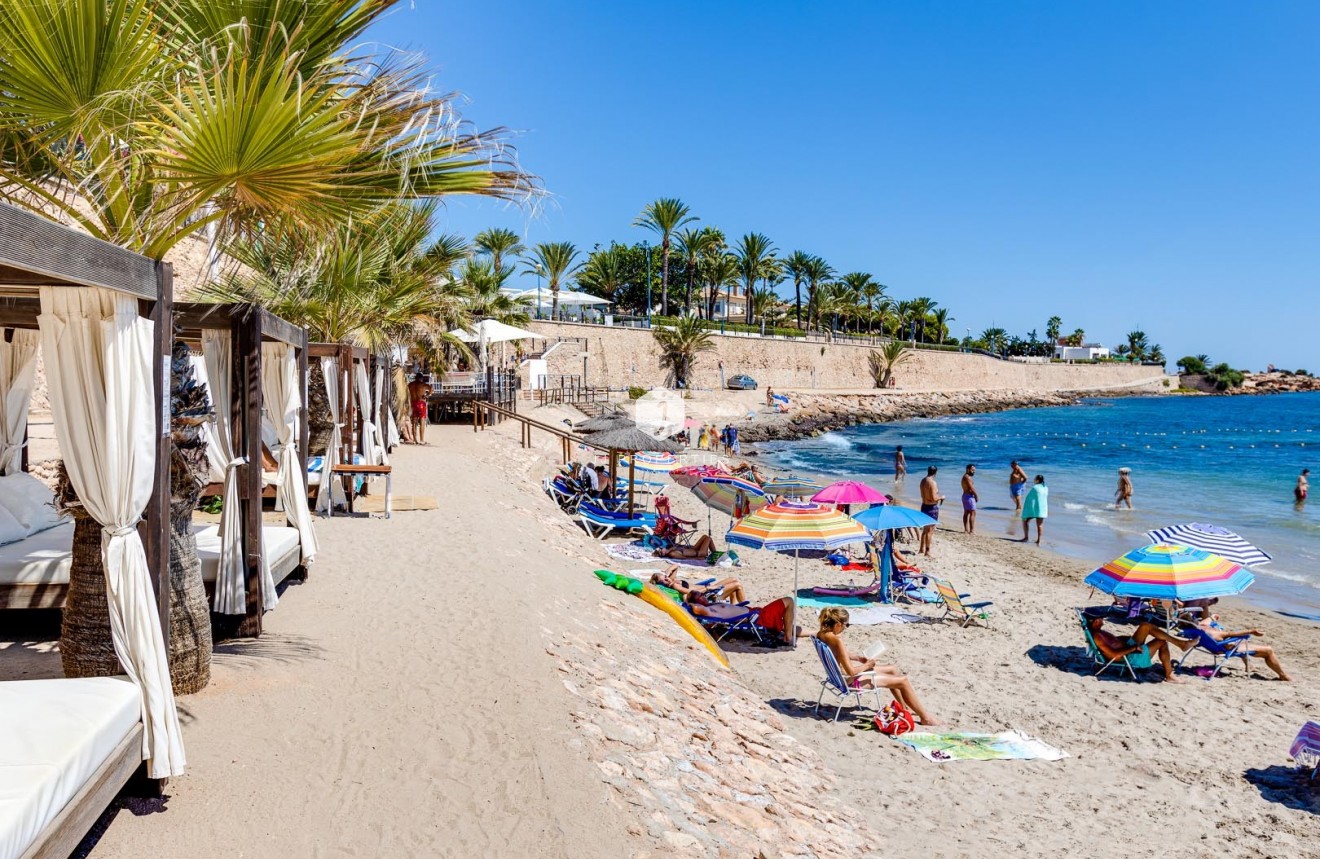 D'occasion - Appartement -
Torrevieja - Costa Blanca