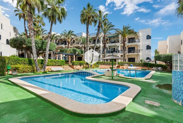 D'occasion - Appartement -
Torrevieja - Cabo cervera