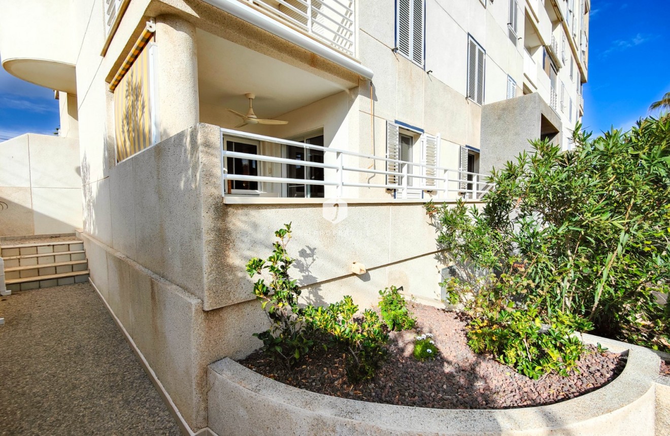 Aus zweiter Hand - Wohnung -
Torrevieja - Costa Blanca