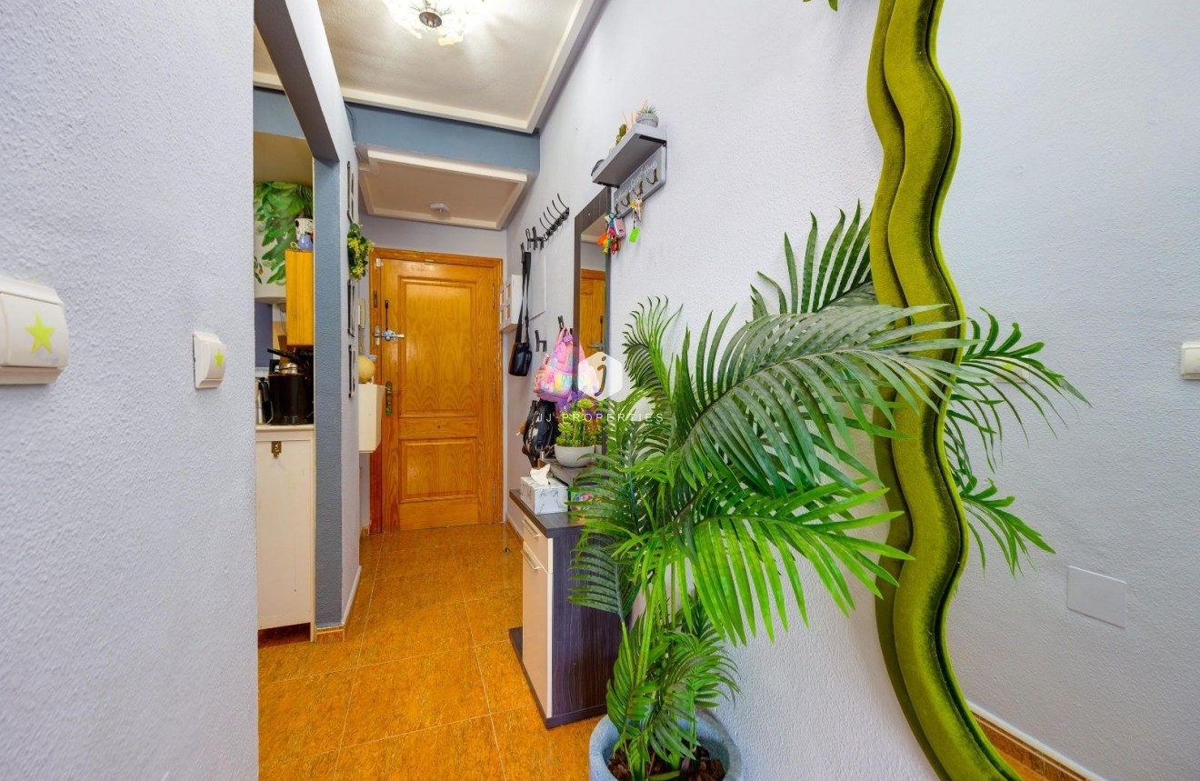 D'occasion - Appartement -
Torrevieja - Centro