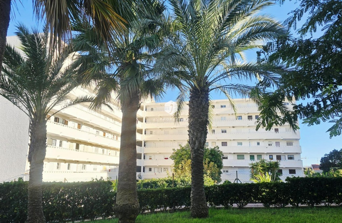 Tweedehands - Appartement / flat -
Torrevieja - Torreblanca