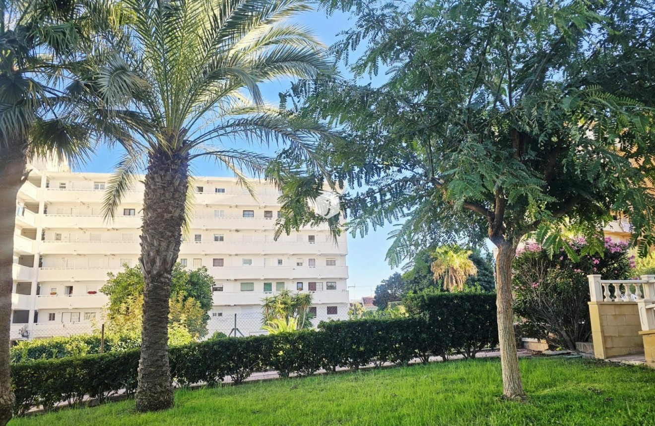 Tweedehands - Appartement / flat -
Torrevieja - Torreblanca