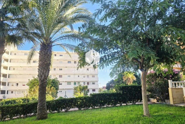 Tweedehands - Appartement / flat -
Torrevieja - Torreblanca