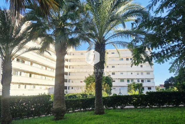 Tweedehands - Appartement / flat -
Torrevieja - Torreblanca