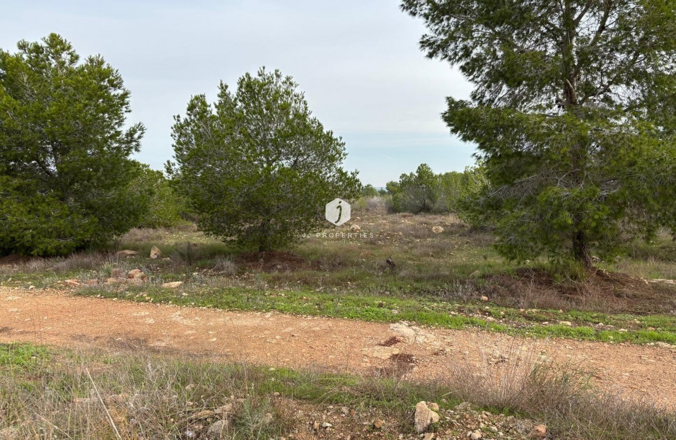 Segunda mano - Bungalow -
Torrevieja - La Siesta - El Salado - Torreta