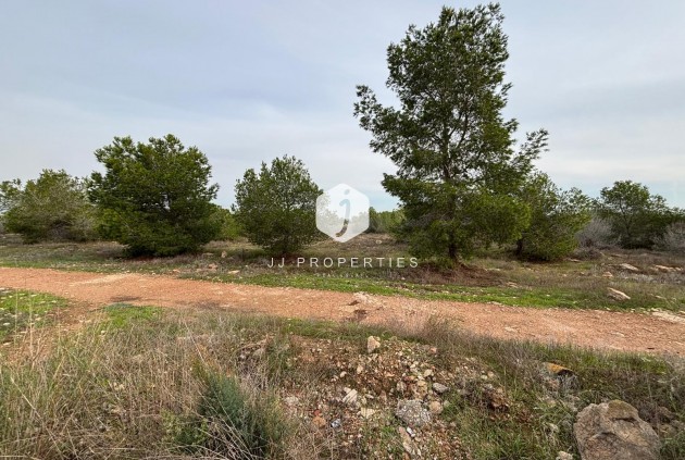 Segunda mano - Bungalow -
Torrevieja - La Siesta - El Salado - Torreta