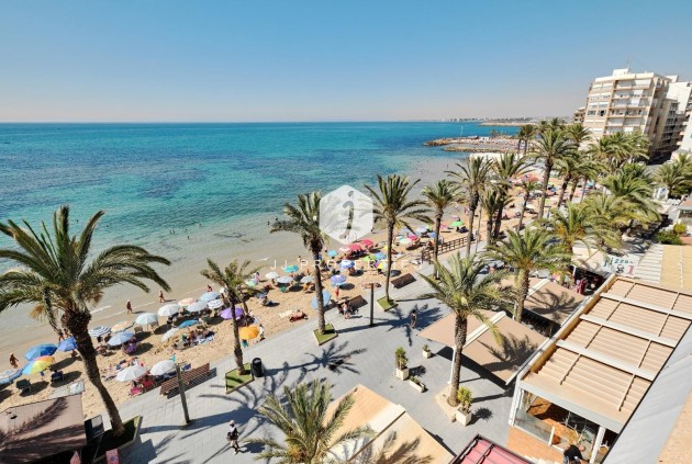 Segunda mano - Apartamento / piso -
Torrevieja - Playa del Cura
