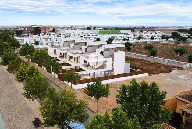 Obra nueva - Villa -
Pilar de la Horadada - pueblo