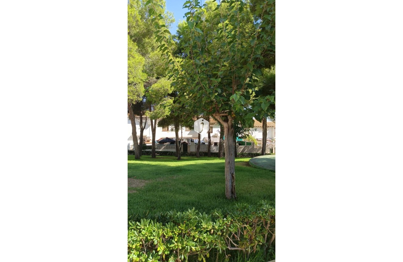 Segunda mano - Chalet -
Torrevieja - Los Balcones