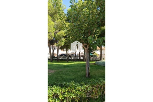 Segunda mano - Chalet -
Torrevieja - Los Balcones