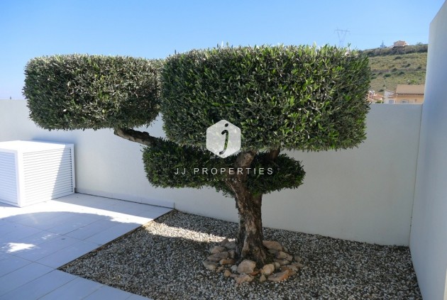 Resale - Villa -
Benijofar - Costa Blanca