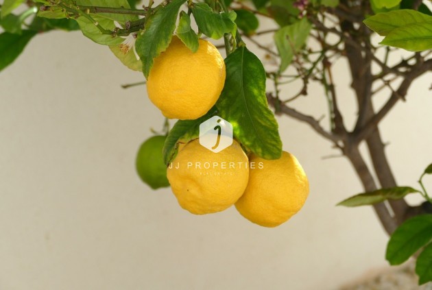 Resale - Villa -
Benijofar - Costa Blanca